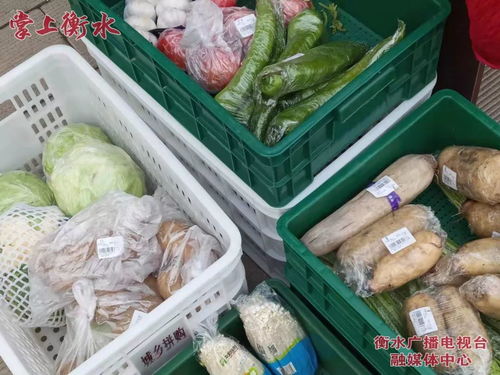 美麗河北 e起過年——故城品牌農產品進社區，稱心年貨送上門