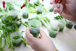 惠東三基地入選粵港澳大灣區“菜籃子”，引領農產品初加工新篇章